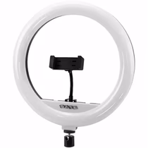 Aro LED Satellite A-MK330 12"