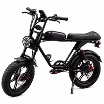 Bicicleta Elétrica Bluhan Ebike M2