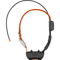 Coleira com GPS Garmin Alpha TT 25 Dog Collar