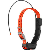 Coleira com GPS Garmin Alpha TT 25 Dog Collar foto 1