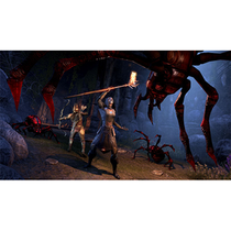 Game The Elder Scrolls Online Summerset Playstation 4 foto 1