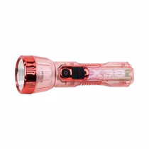 Linterna Ecopower EP-8121 100 Lúmenes