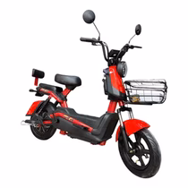 Moto Elétrica Ferox foto 1