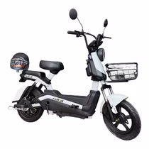 Moto Elétrica Ferox foto 2