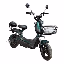 Moto Elétrica Ferox foto 3