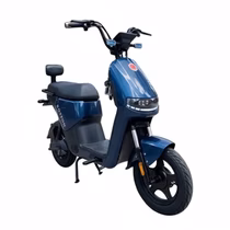 Moto Elétrica Foston X15 Max