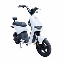 Moto Elétrica Foston X15 Max foto 1