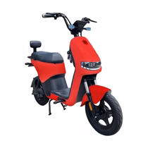Moto Elétrica Foston X15 Max foto 2