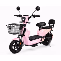 Moto Elétrica Midi Pro MDP-500C foto 1