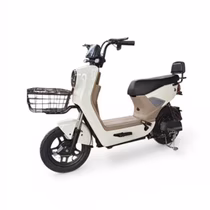 Moto Elétrica Midi Pro MDP-X10