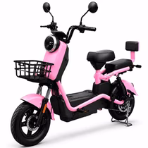 Moto Elétrica Midi Pro MDP-X13K foto 1