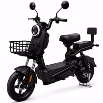 Moto Elétrica Midi Pro MDP-X13K foto 2