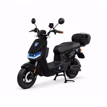 Moto Elétrica Midi Pro MDP-X15 Pro Max