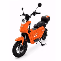 Moto Eléctrica Midi Pro MDP-X20MAX foto 1