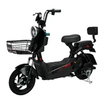 Moto Eléctrica Smart Wheel iBike foto 2