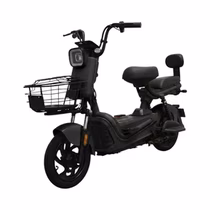 Moto Elétrica Smart Wheel JK30