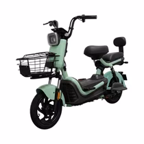 Moto Elétrica Smart Wheel JK30 foto 1