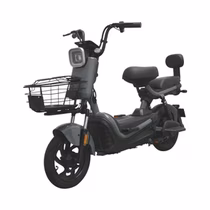 Moto Elétrica Smart Wheel JK30 foto 2