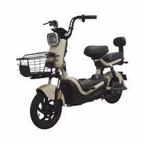 Moto Elétrica Smart Wheel JK30 foto 3