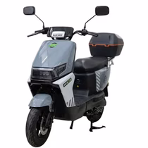 Moto Elétrica Smart Wheel SW007