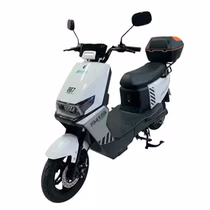 Moto Elétrica Smart Wheel SW007 foto 2
