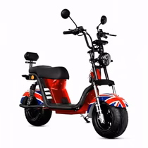 Moto Elétrica Smart Wheel X12 foto 1