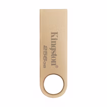 Pendrive Kingston DataTraveler SE9 G3 256GB