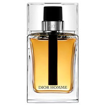 Perfume Christian Dior Homme Eau de Toilette Masculino 100ML
