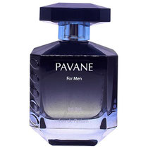 Perfume Elodie Roy Pavane Eau de Parfum Masculino 100ML