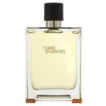 Perfume Hermes Terre D'Hermes Eau de Toilette Masculino 100ML