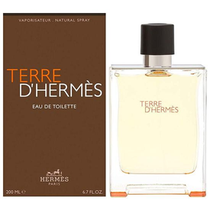 Perfume Hermes Terre D'Hermes Eau de Toilette Masculino 200ML