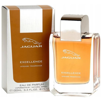 Perfume Jaguar Excellence Eau de Toilette Masculino 100ML