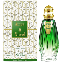 Perfume Nabeel Acqua Di Nabeel Eau de Parfum Unisex 100ML