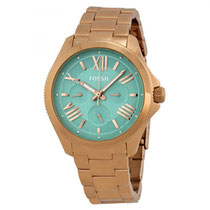 Reloj Fossil AM4540 Femenino