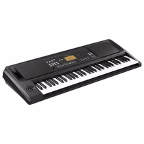 Teclado Korg EK-50