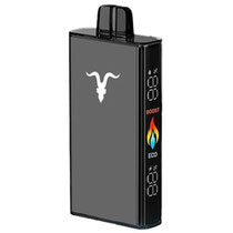 Vaper Descartável Ignite V250 Menthol 25000 Puffs