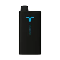 Vaper Descartável Ignite V400 Sweet Blueberry Ice 40000 Puffs