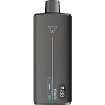 Vaper Descartável The Black Sheep Slim Menthol 10000 Puffs