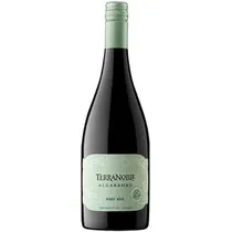 Vinho Terranoble Algarrobo Pinot Noir 750ML