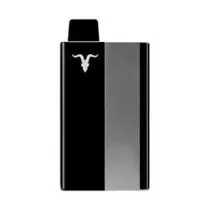 Pod P100 Kit Metal Gray Watermel