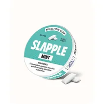 Chewing Gum Slapple Mint 2MG/PCS 40PCS