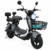 Moto Electrica MTX Y2-CC 500W Gray