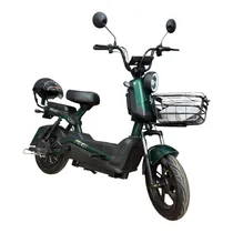 Moto Eléctrica Ferox! 500W