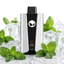 Waka 30K Pro Cool Mint