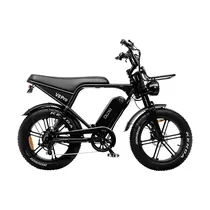 Bicicleta Elétrica Bluhan Ebike V8 Pro