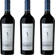 Pack de Vinhos Pulenta Single Vineyard Series Malbec Collection 2018 (3 Unidades)