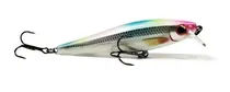 Rapala Accesorios BX Minnow BXM-10 Plastico 10 CM FCD