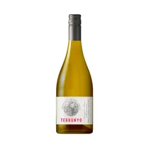Vino Concha Y Toro Terrunyo Sauvignon Blanc - 750ML