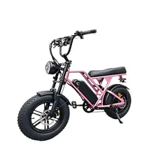 Bike Blulory G60 Mini Pink 1000W