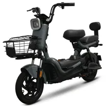 Moto Elétrica Tailg JK30 500W 48V12AH Cinza No Paraguai